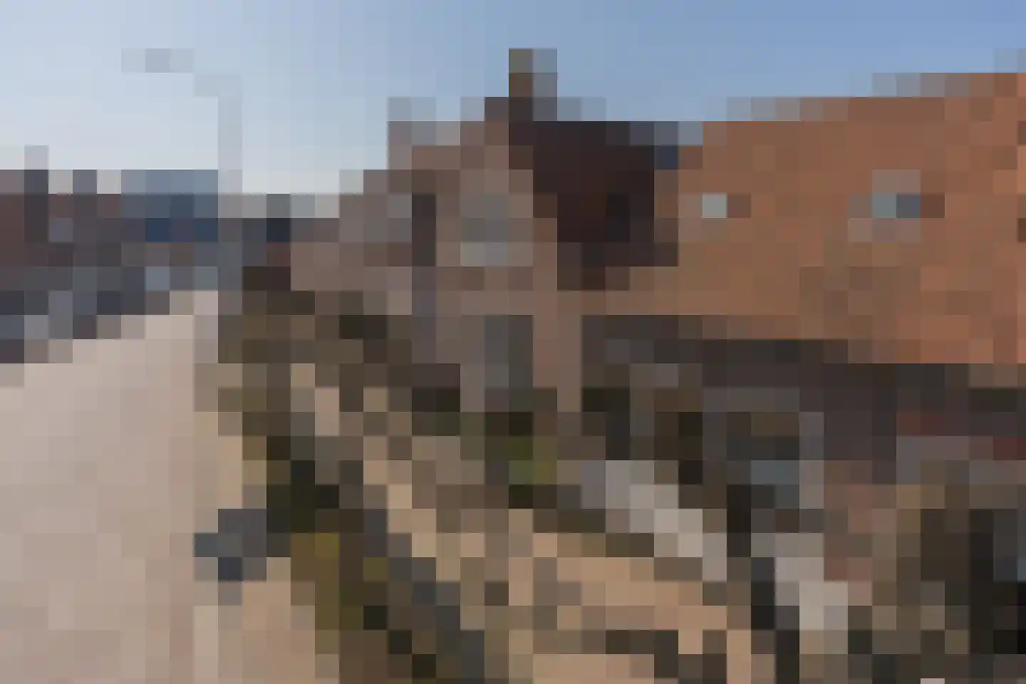 Burgemeester van Lierestraat 34 Oudelande thumbnail 16