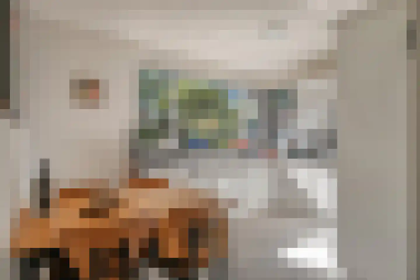 Burgemeester van Lokvenstraat 115 Mierlo thumbnail 21
