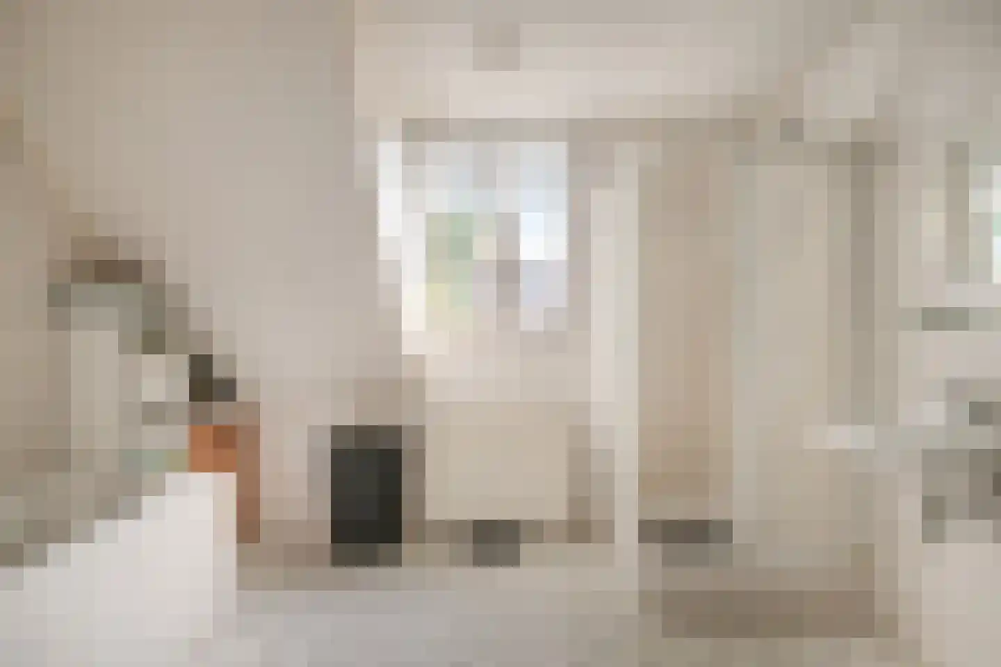 Burgemeester van Lokvenstraat 115 Mierlo thumbnail 35