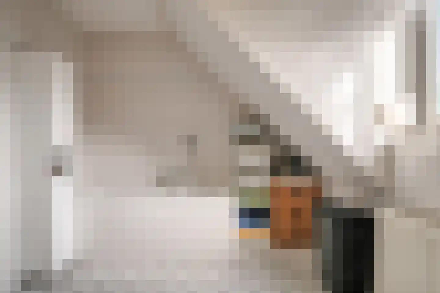 Burgemeester van Lokvenstraat 115 Mierlo thumbnail 37