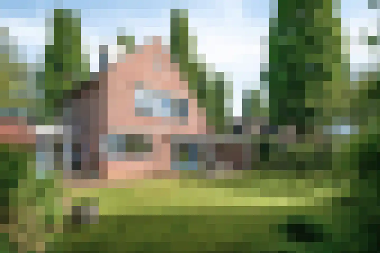 Burgemeester van Lokvenstraat 115 Mierlo thumbnail 44