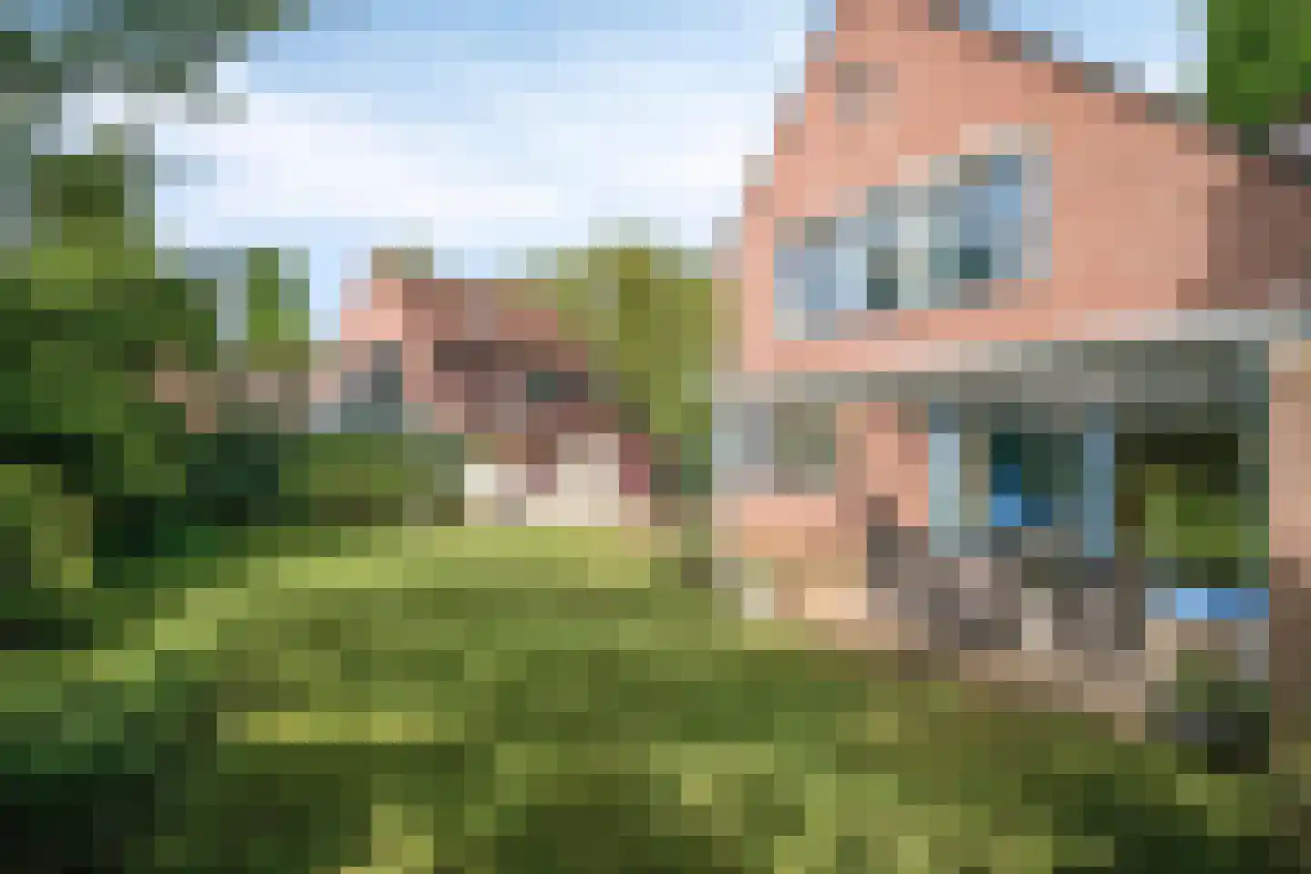 Burgemeester van Lokvenstraat 115 Mierlo thumbnail 45