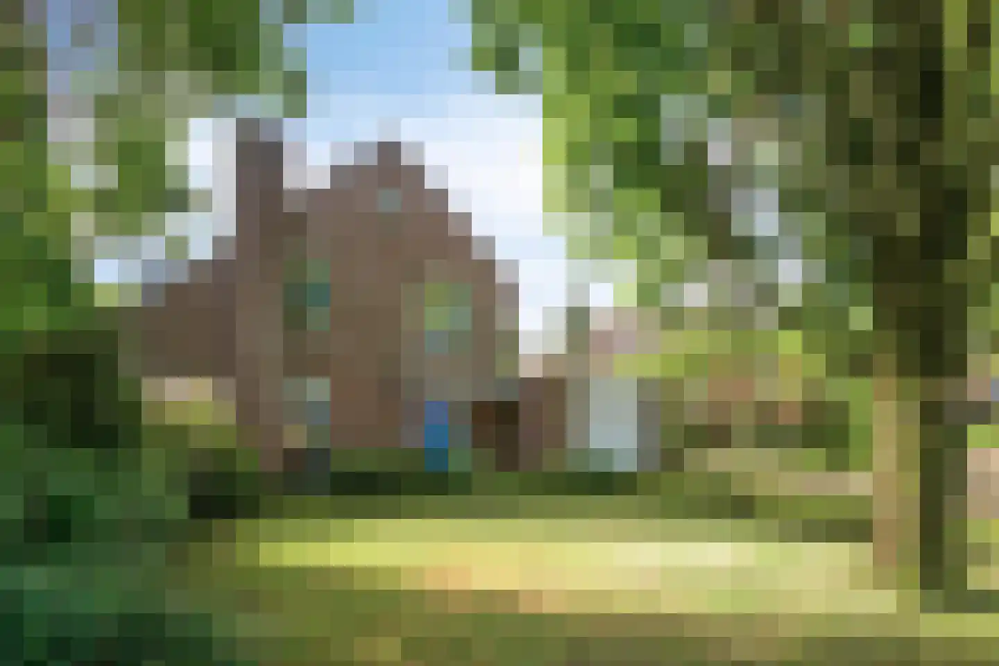 Burgemeester van Lokvenstraat 115 Mierlo thumbnail 8
