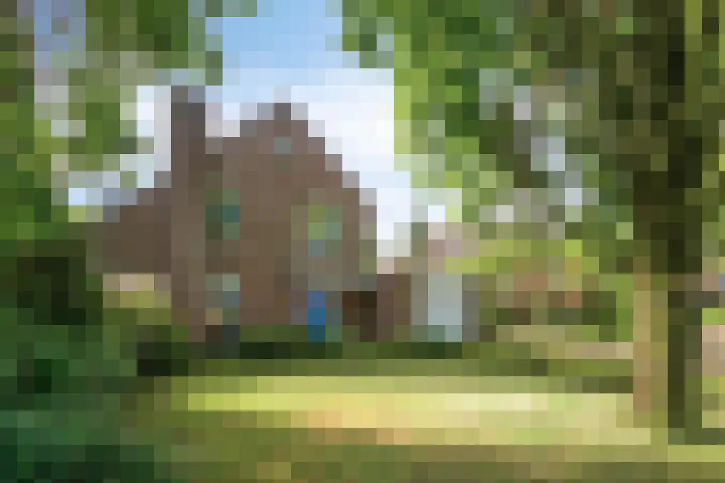 Burgemeester van Lokvenstraat 115 Mierlo thumbnail 8