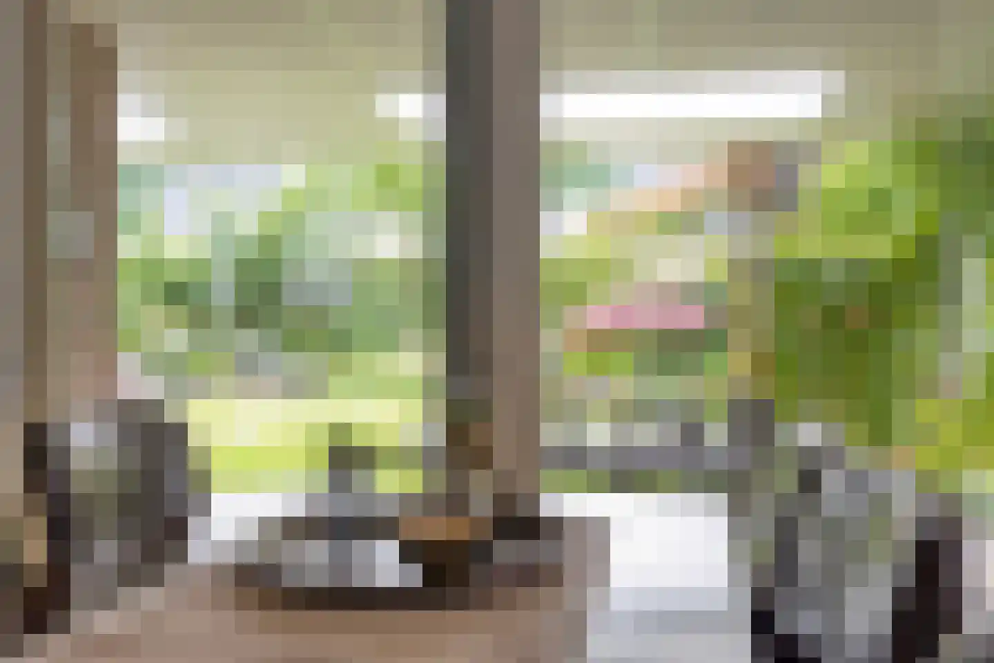 Burgemeester van Lokvenstraat 133 Mierlo thumbnail 16