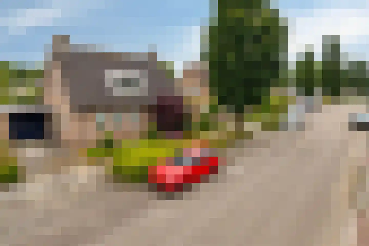 Burgemeester van Lokvenstraat 133 Mierlo thumbnail 44