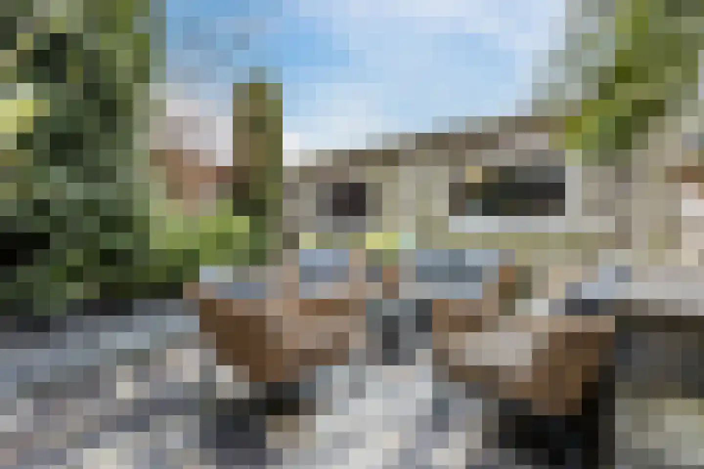 Burgemeester van Loonstraat 18 Steenbergen thumbnail 65