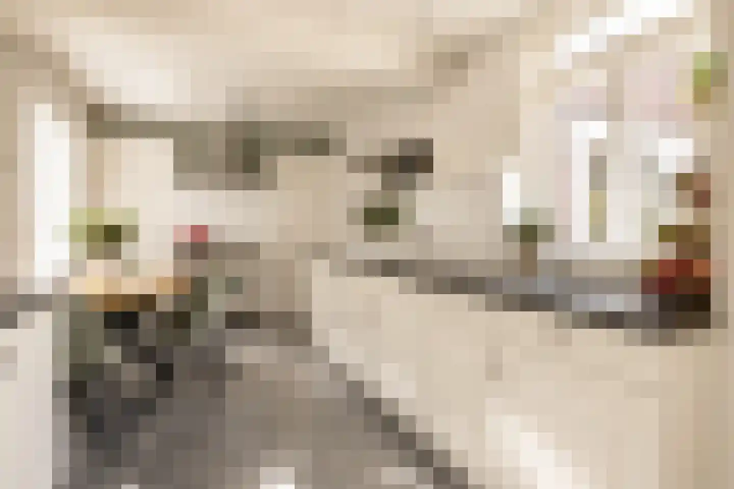 Burgemeester van Loonstraat 73 Steenbergen thumbnail 10
