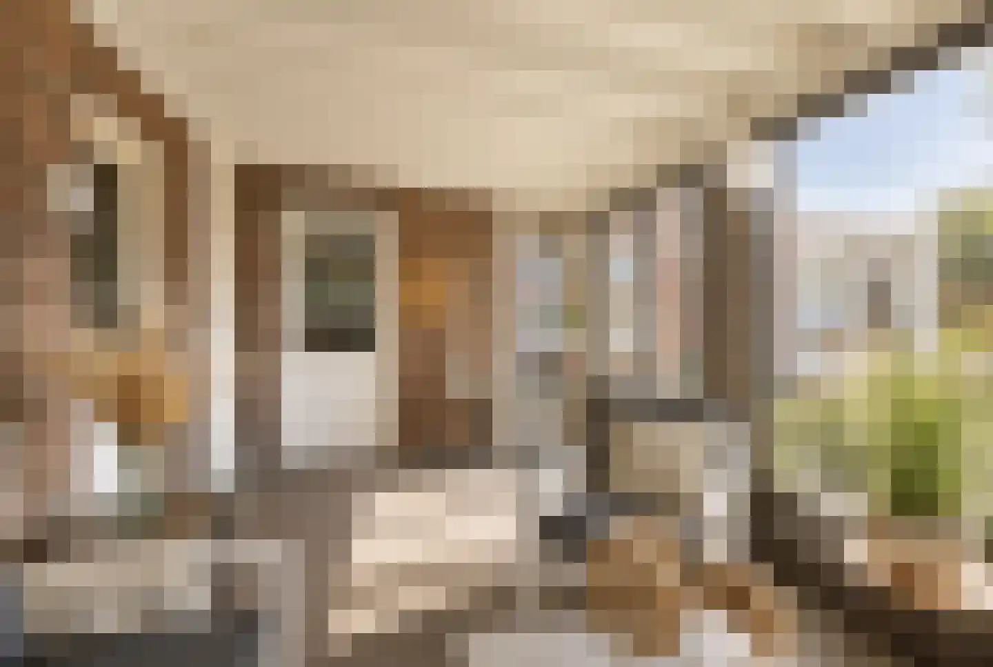 Burgemeester van Loonstraat 73 Steenbergen thumbnail 25