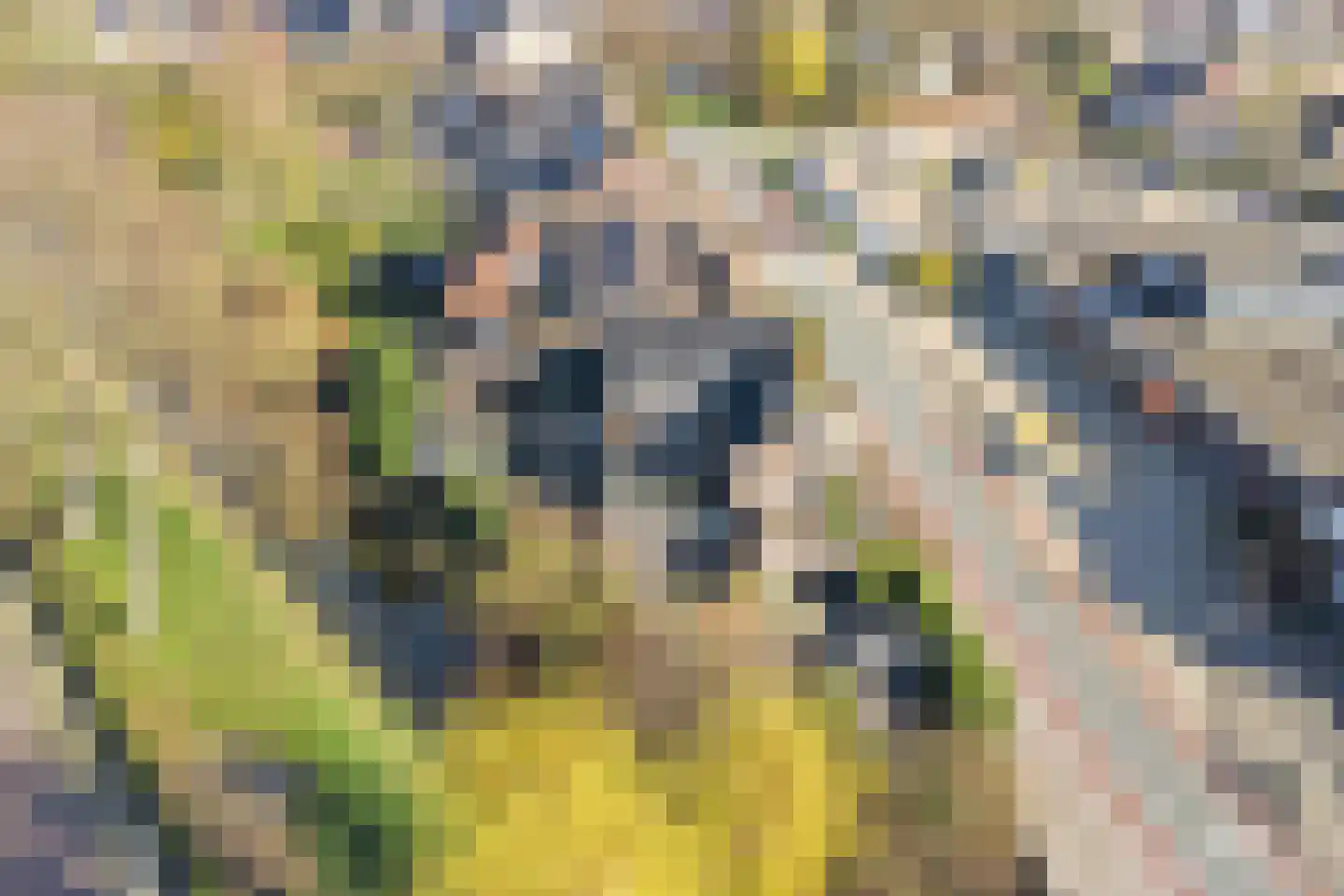 Burgemeester van Loonstraat 73 Steenbergen thumbnail 68