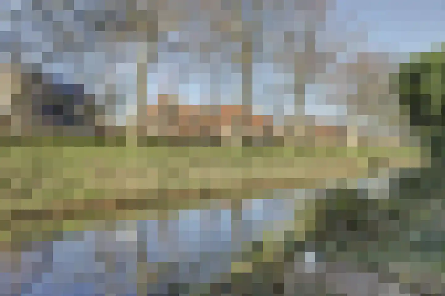 Burgemeester van Loonstraat 73 Steenbergen thumbnail 69