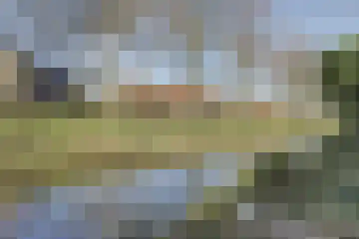 Burgemeester van Loonstraat 73 Steenbergen thumbnail 69