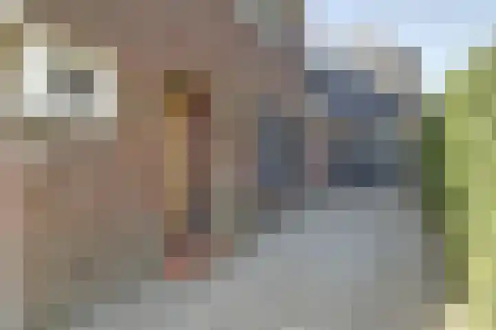 Burgemeester van Loonstraat 73 Steenbergen thumbnail 7