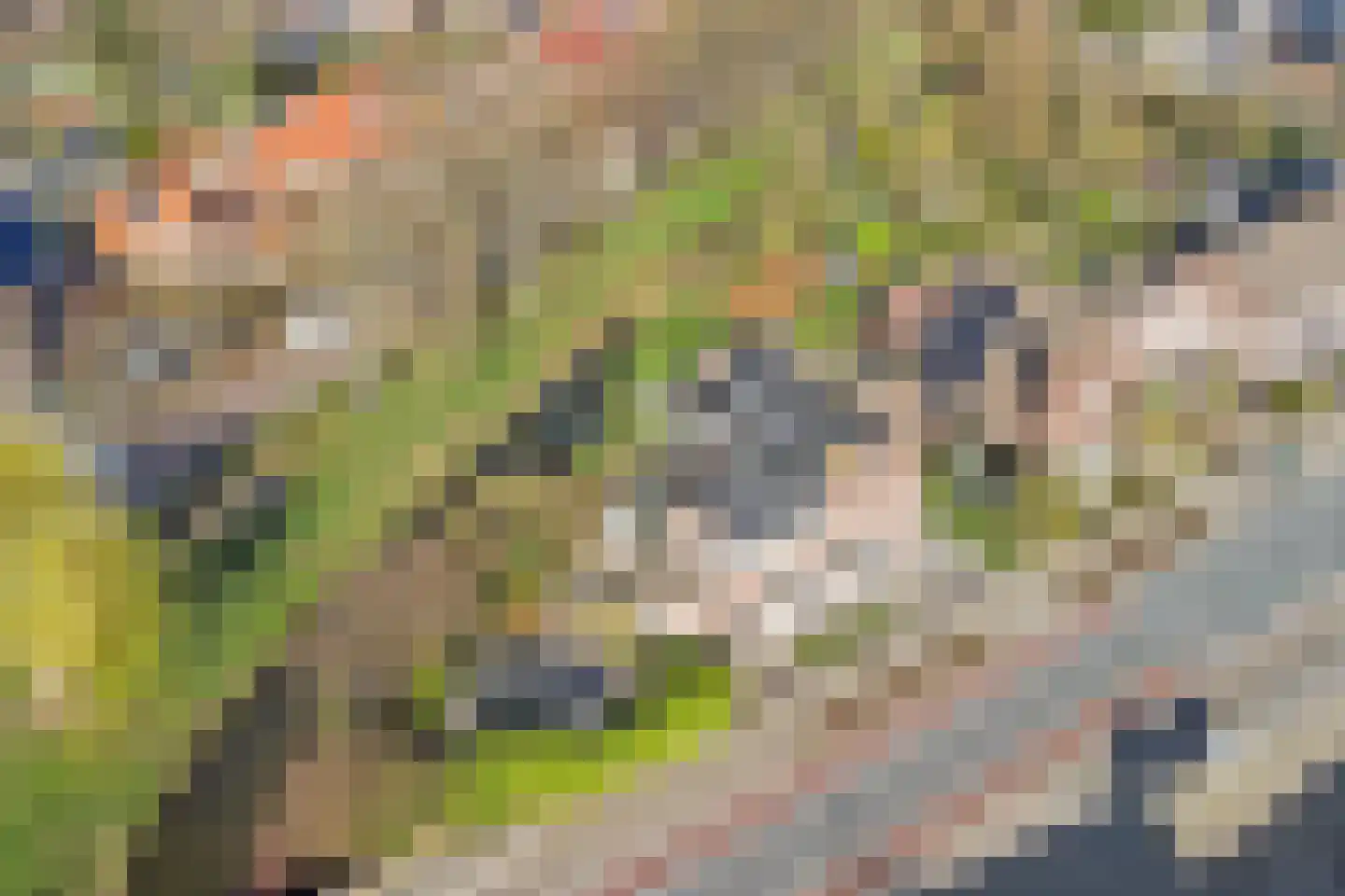 Burgemeester van Loonstraat 73 Steenbergen thumbnail 72