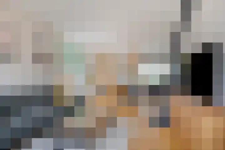 Burgemeester van Lyndenpark 3 Valburg thumbnail 16