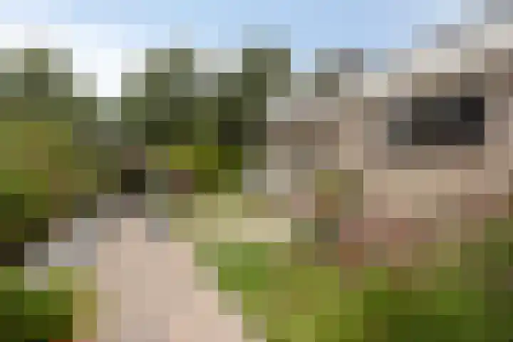 Burgemeester van Lyndenpark 3 Valburg thumbnail 41