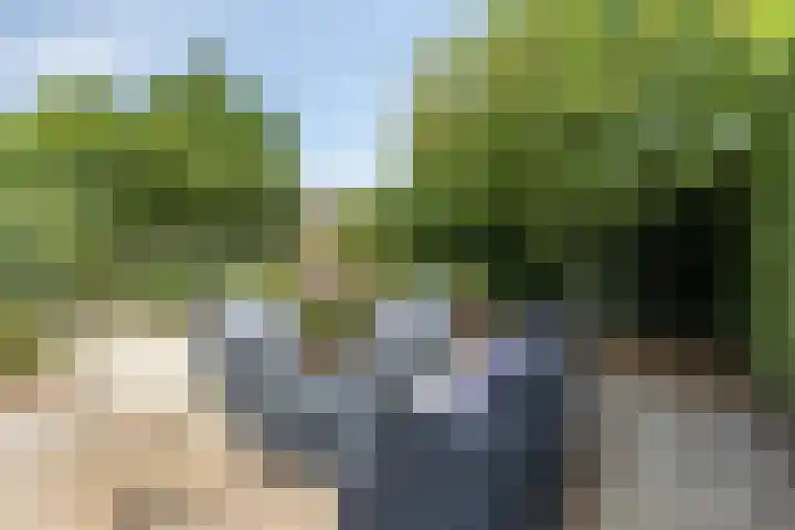 Burgemeester van Lyndenpark 73 Valburg thumbnail 31