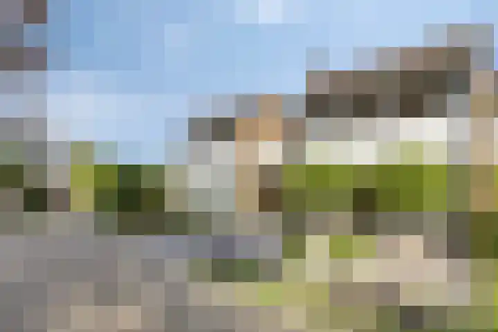 Burgemeester van Lyndenpark 73 Valburg thumbnail 5