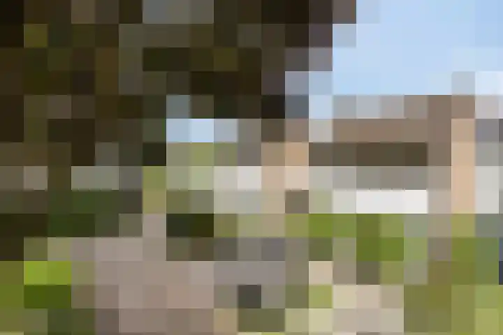 Burgemeester van Lyndenpark 73 Valburg thumbnail 6
