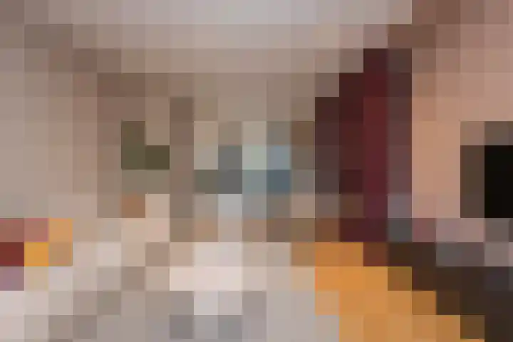 Burgemeester van Meursstraat 33 Tilburg thumbnail 13