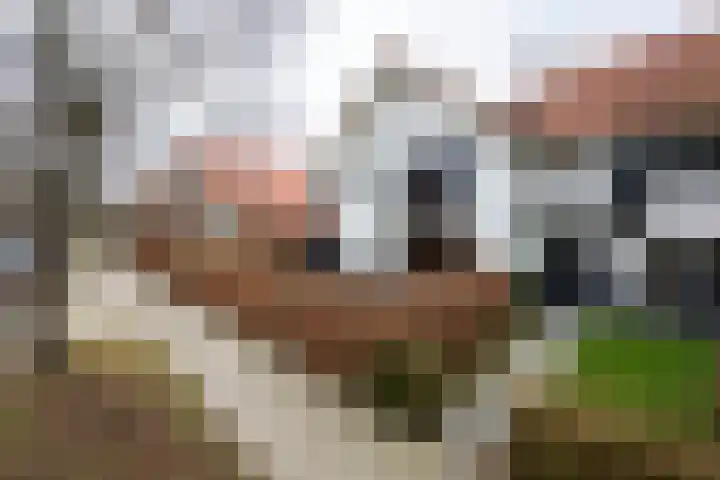 Burgemeester van Meursstraat 33 Tilburg thumbnail 76