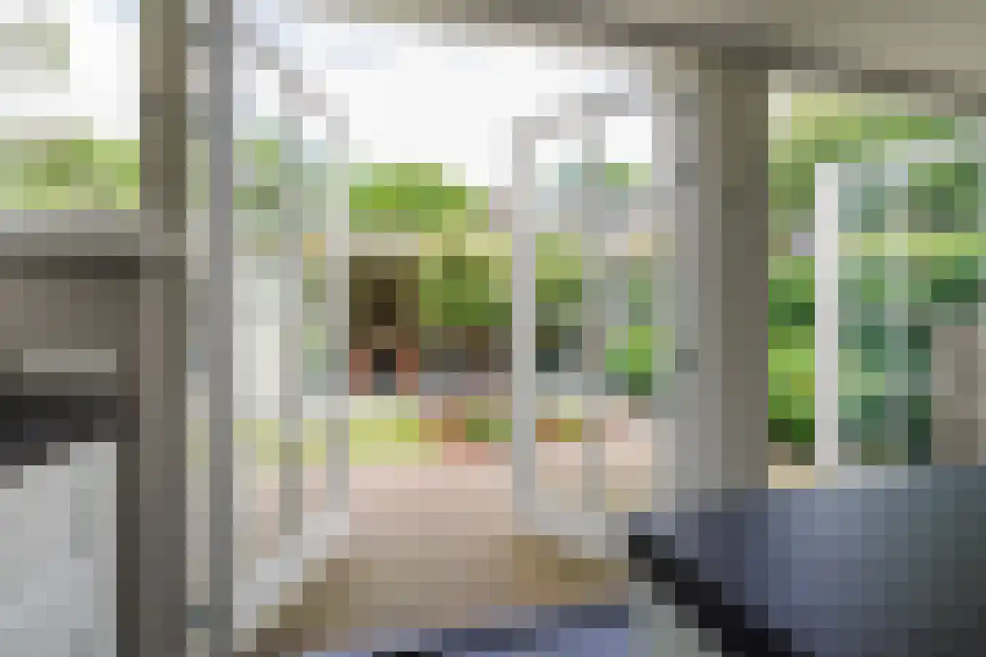 Burgemeester van Meursstraat 43 Tilburg thumbnail 11