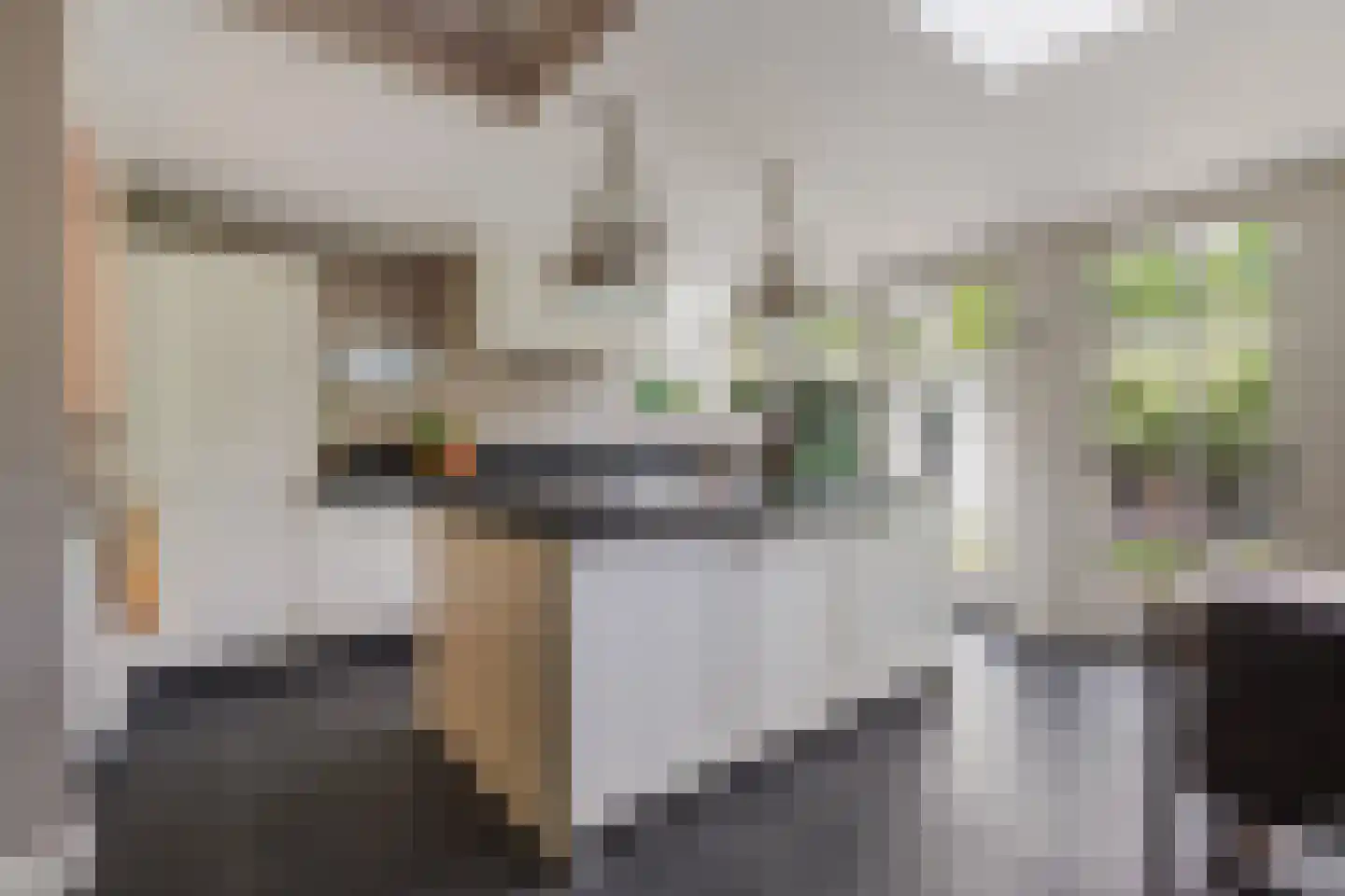 Burgemeester van Meursstraat 43 Tilburg thumbnail 26