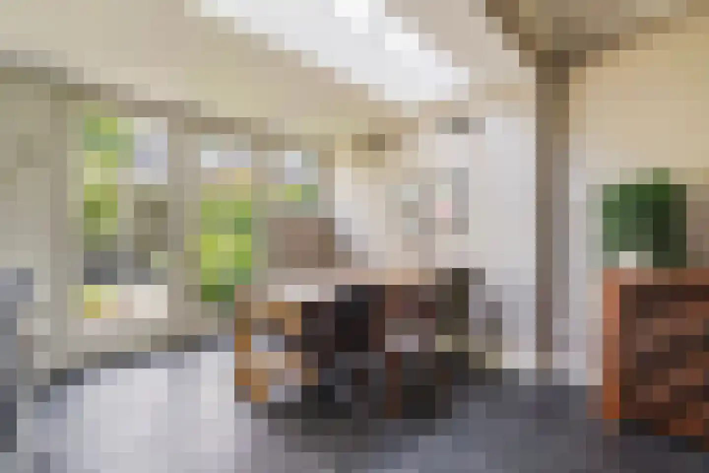 Burgemeester van Meursstraat 43 Tilburg thumbnail 4