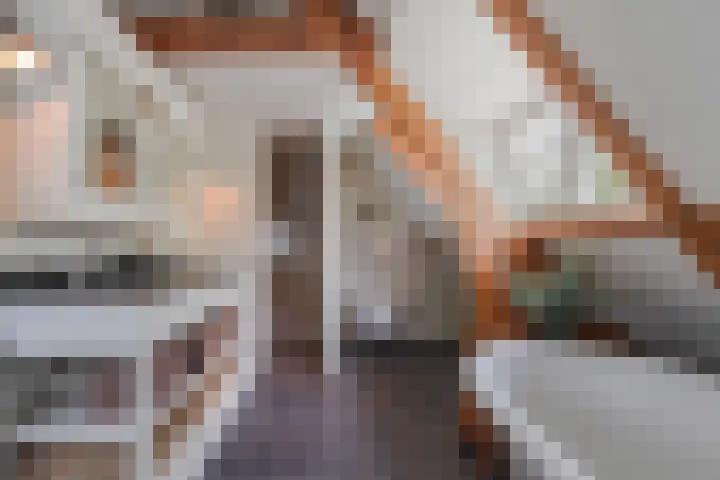 Burgemeester van Meursstraat 43 Tilburg thumbnail 57
