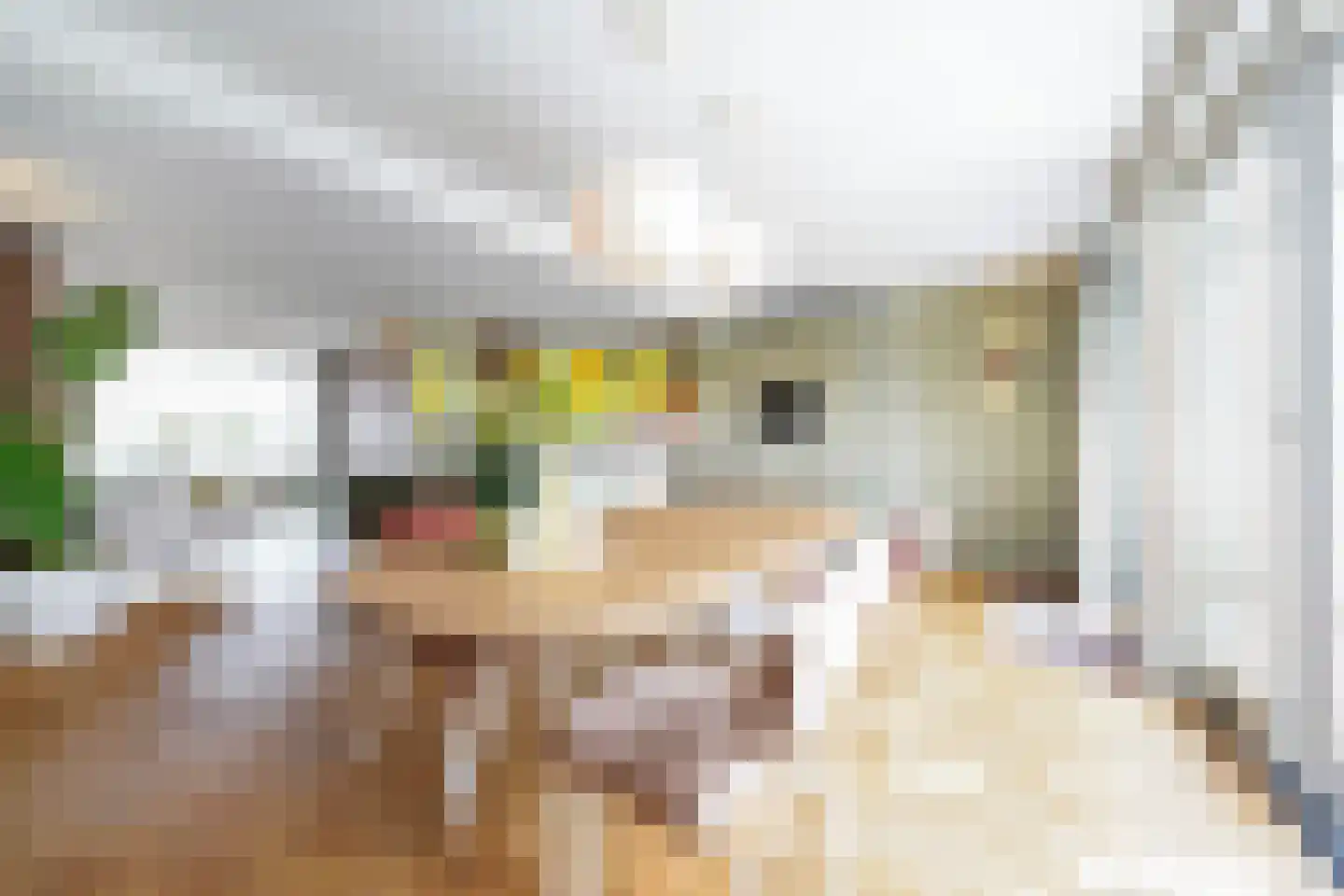 Burgemeester Van Meursstraat 6 Harderwijk thumbnail 11