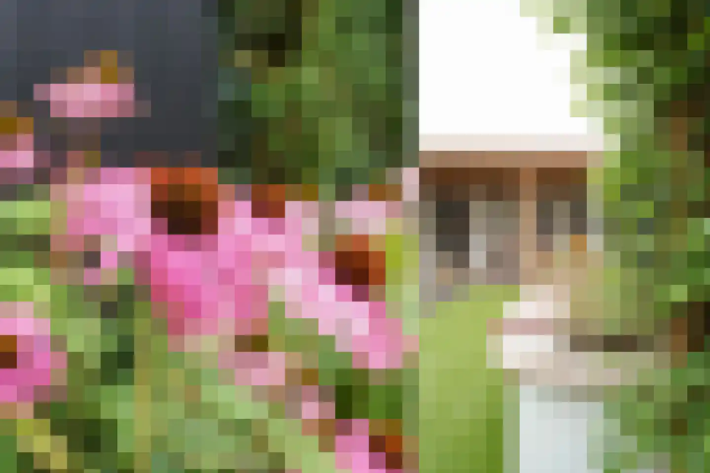 Burgemeester Van Meursstraat 6 Harderwijk thumbnail 49