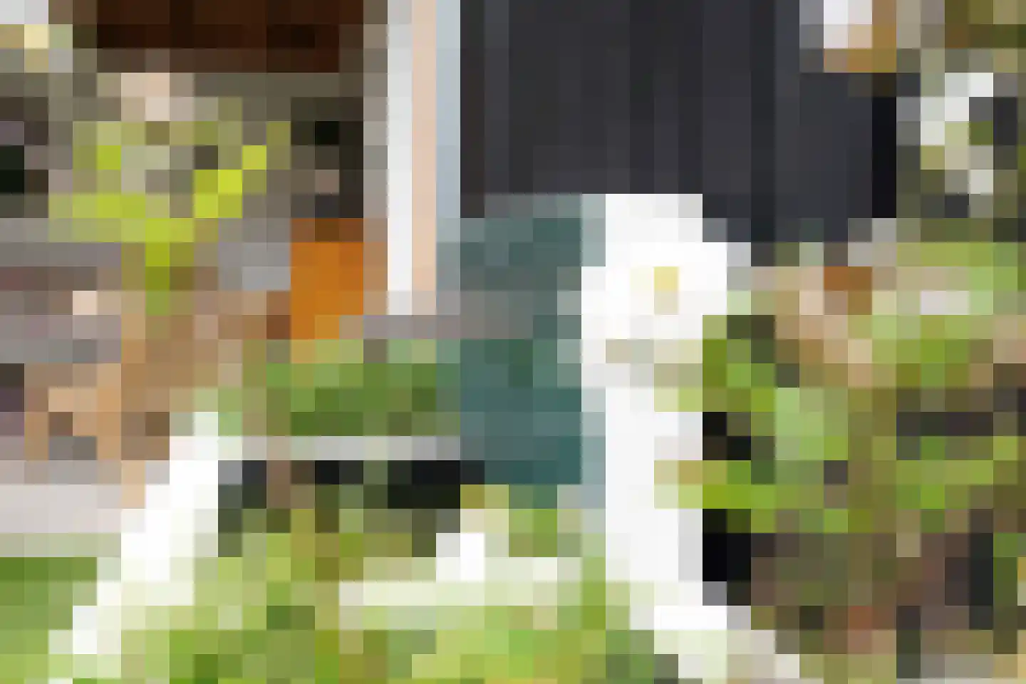 Burgemeester Van Meursstraat 6 Harderwijk thumbnail 56