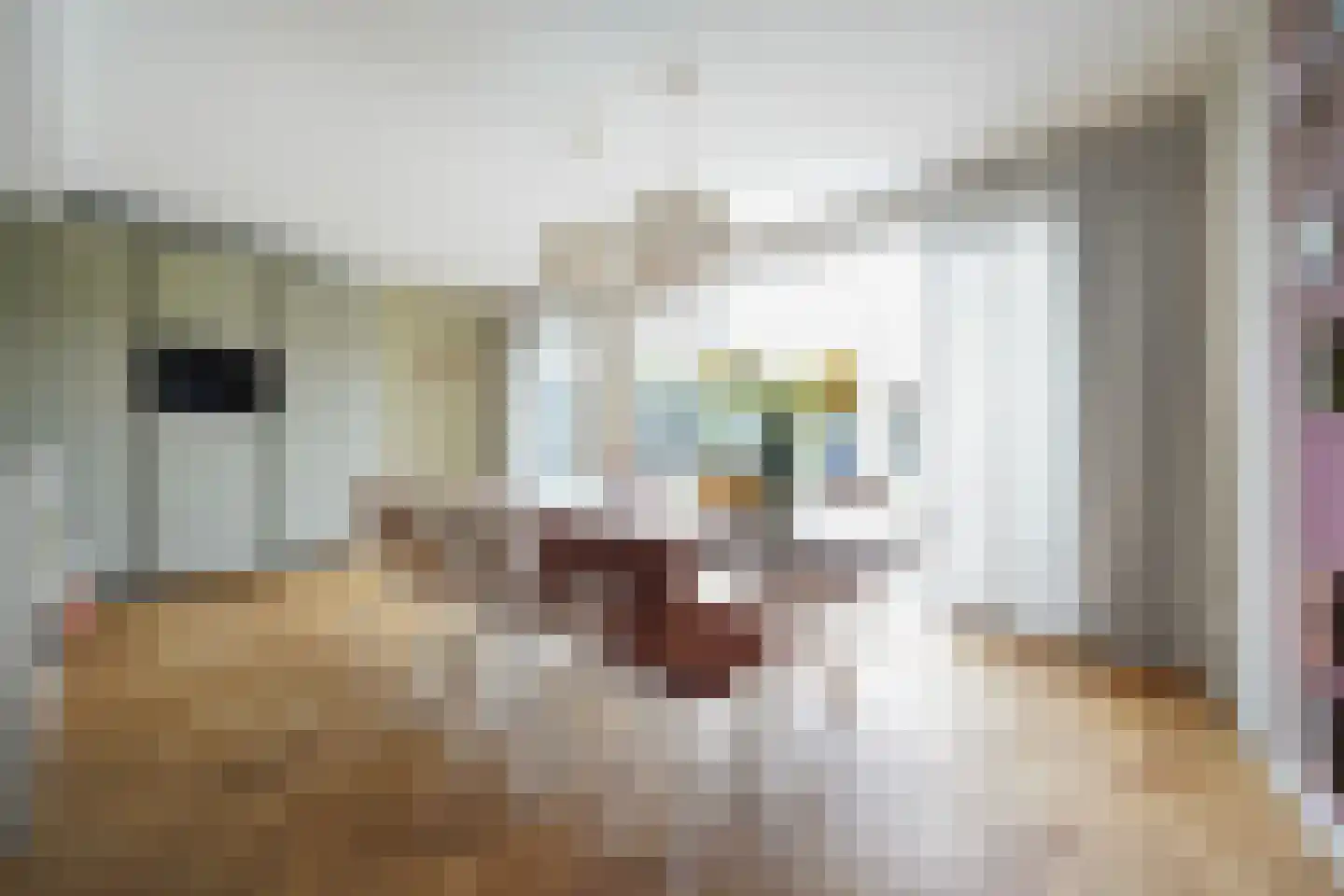 Burgemeester Van Meursstraat 6 Harderwijk thumbnail 9