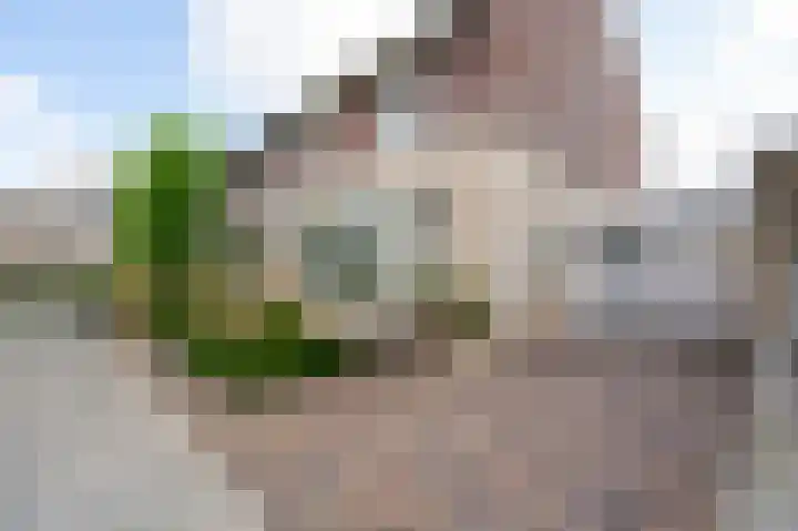 Burgemeester van Mourikstraat 11 Beusichem thumbnail 5