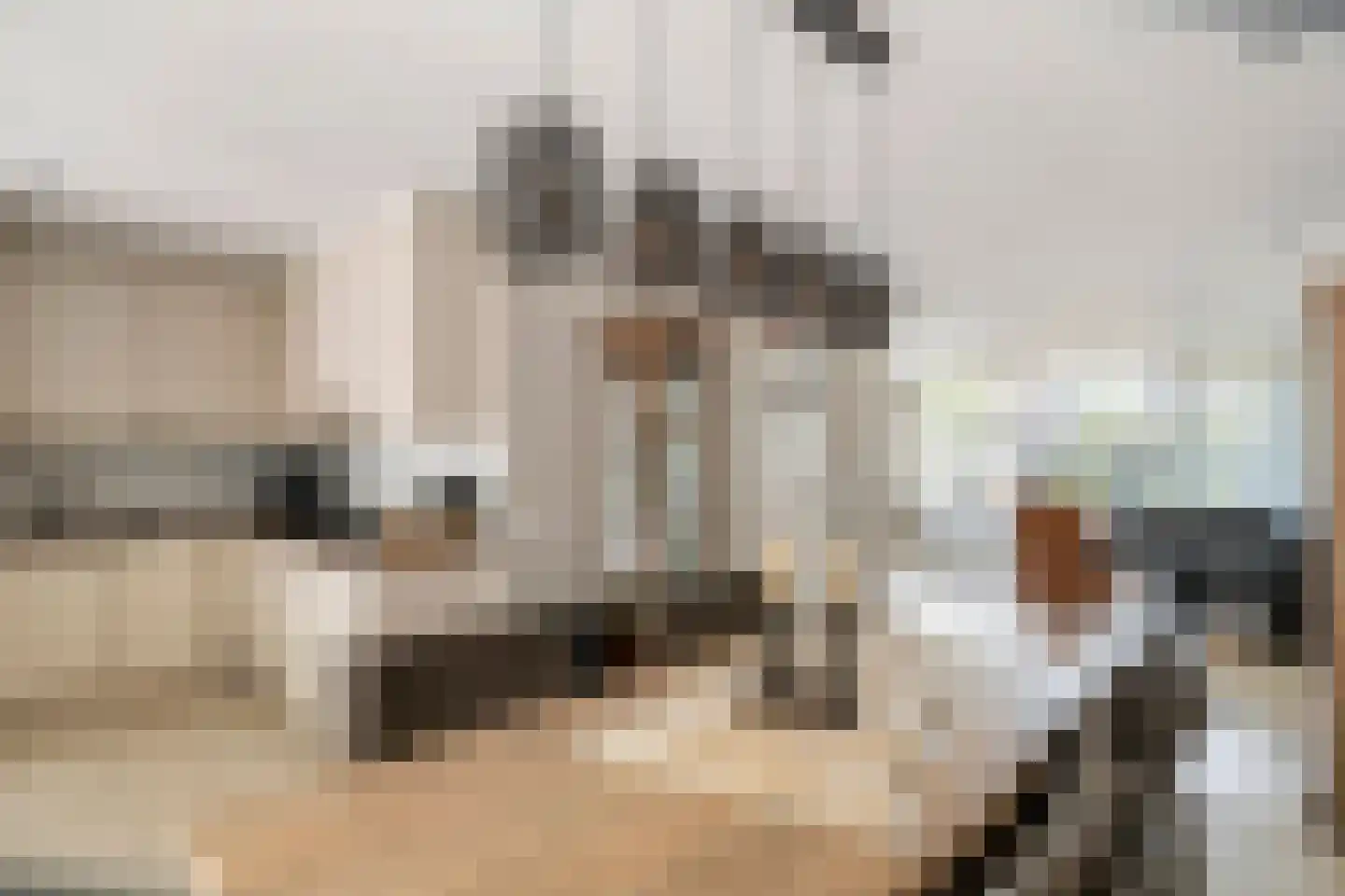 Burgemeester van Mourikstraat 3 Beusichem thumbnail 15