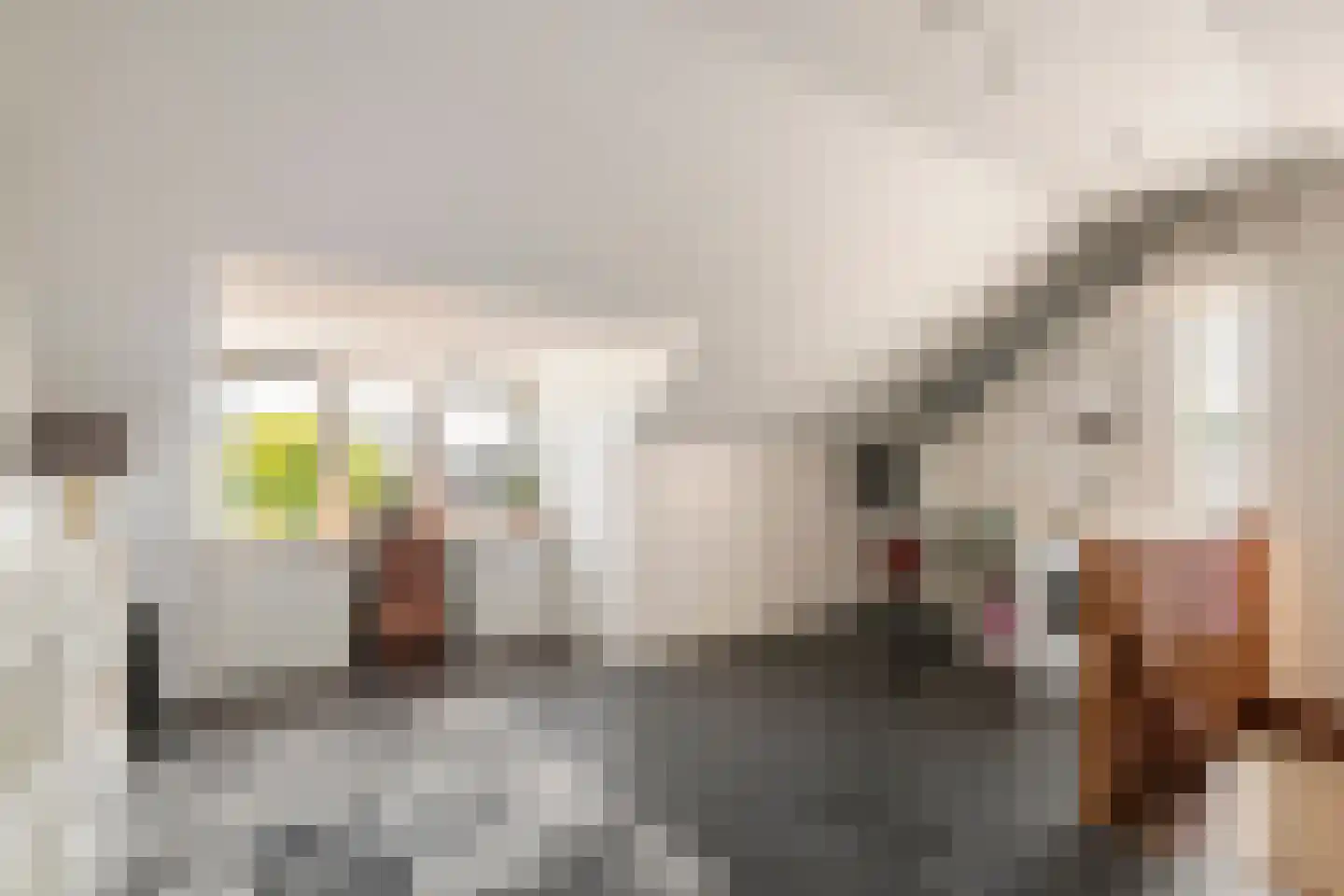 Burgemeester van Mourikstraat 3 Beusichem thumbnail 32