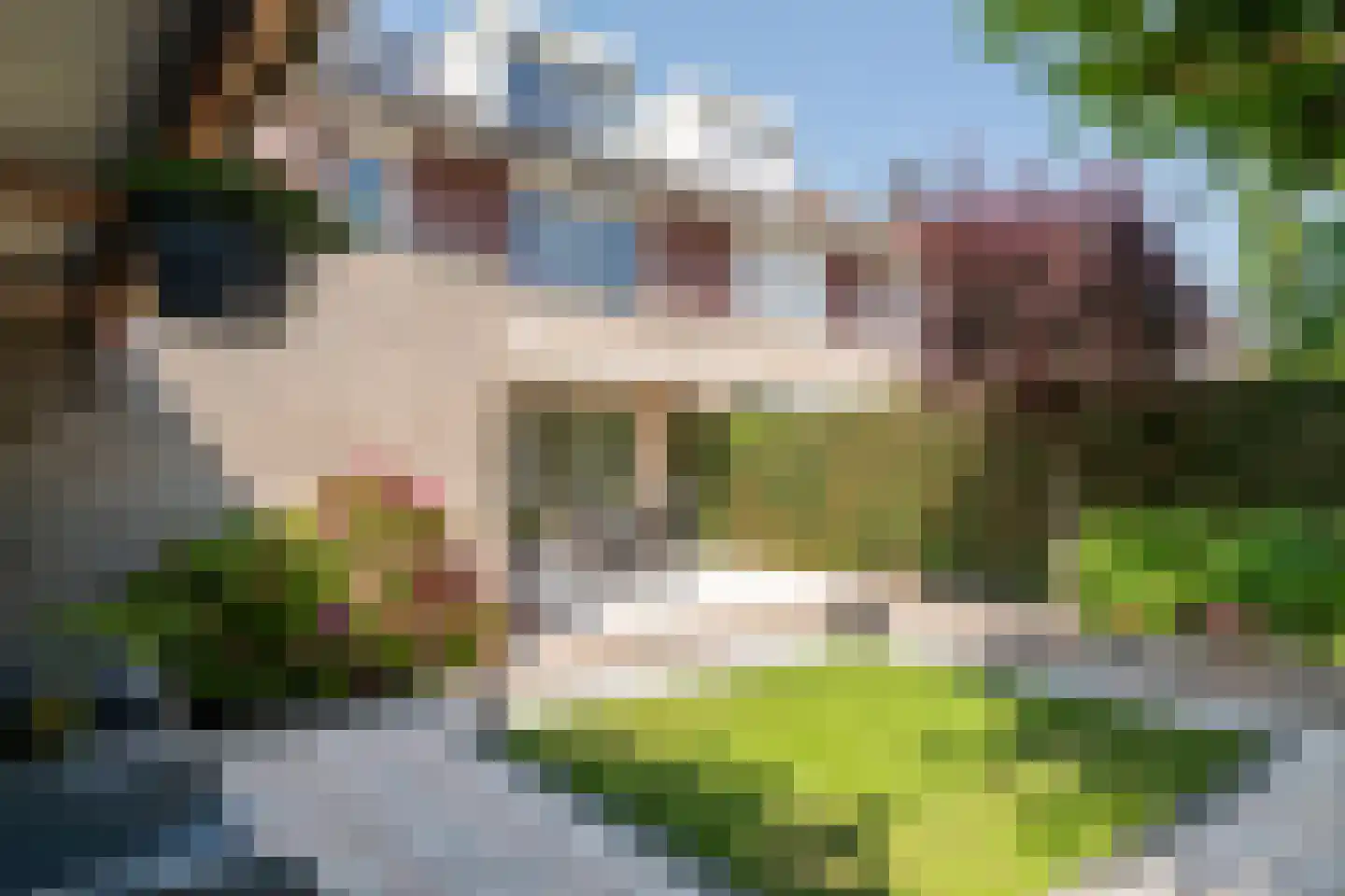 Burgemeester van Mourikstraat 3 Beusichem thumbnail 37