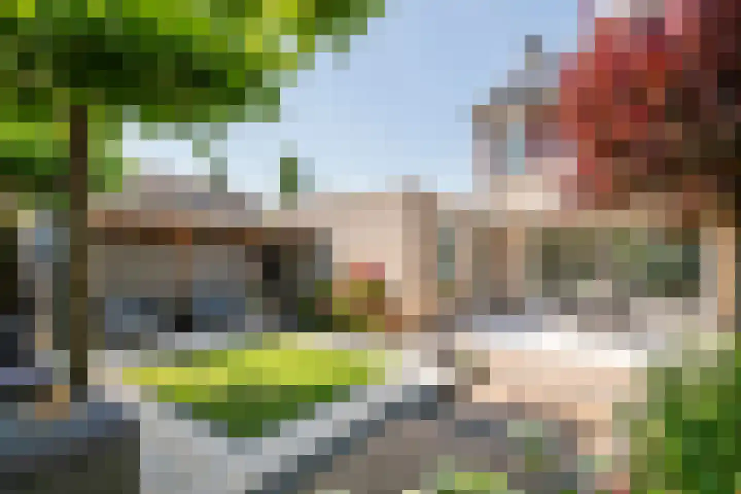 Burgemeester van Mourikstraat 3 Beusichem thumbnail 38