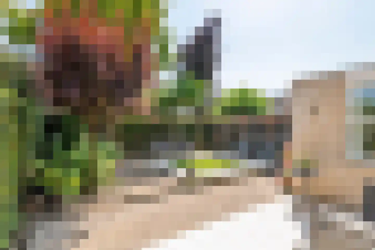 Burgemeester van Mourikstraat 3 Beusichem thumbnail 42