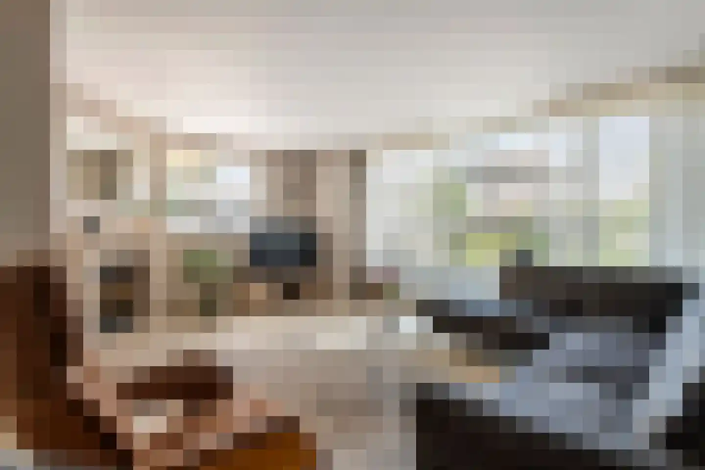 Burgemeester van Mourikstraat 3 Beusichem thumbnail 9