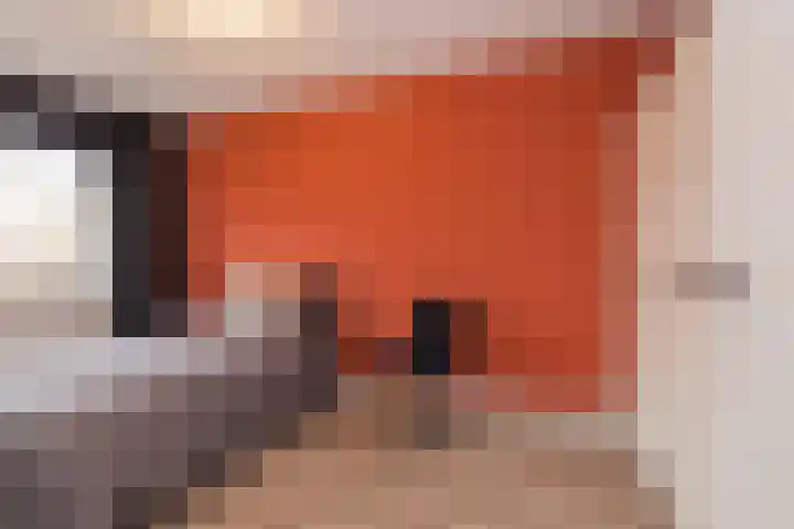 Burgemeester van Niekerklaan 70 Hillegom thumbnail 30