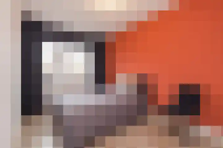Burgemeester van Niekerklaan 70 Hillegom thumbnail 31
