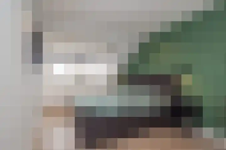 Burgemeester van Niekerklaan 70 Hillegom thumbnail 38