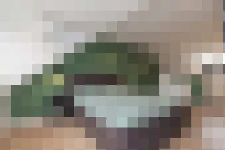 Burgemeester van Niekerklaan 70 Hillegom thumbnail 40