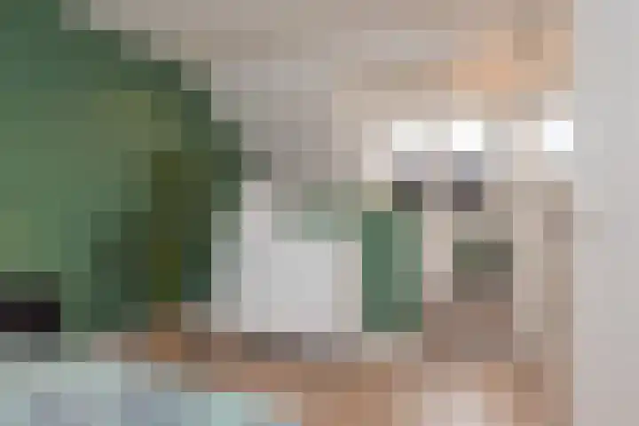 Burgemeester van Niekerklaan 70 Hillegom thumbnail 41