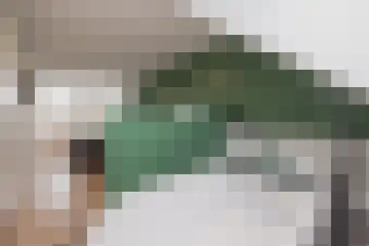 Burgemeester van Niekerklaan 70 Hillegom thumbnail 42