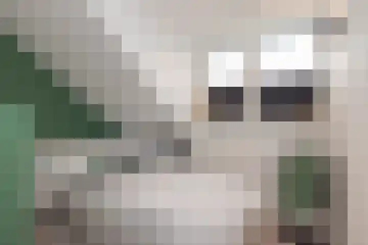 Burgemeester van Niekerklaan 70 Hillegom thumbnail 43