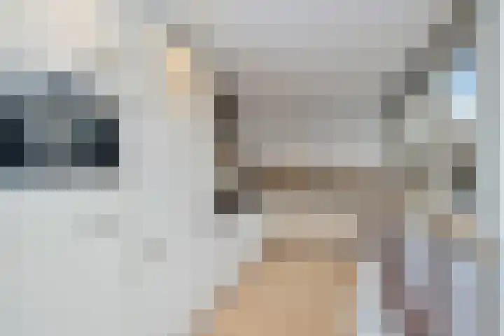 Burgemeester van Nienesstraat 11 Uitgeest thumbnail 13