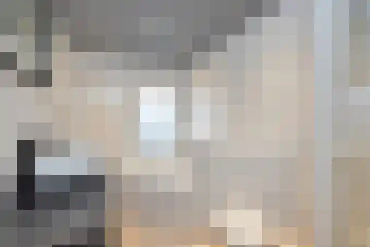 Burgemeester van Nienesstraat 11 Uitgeest thumbnail 20