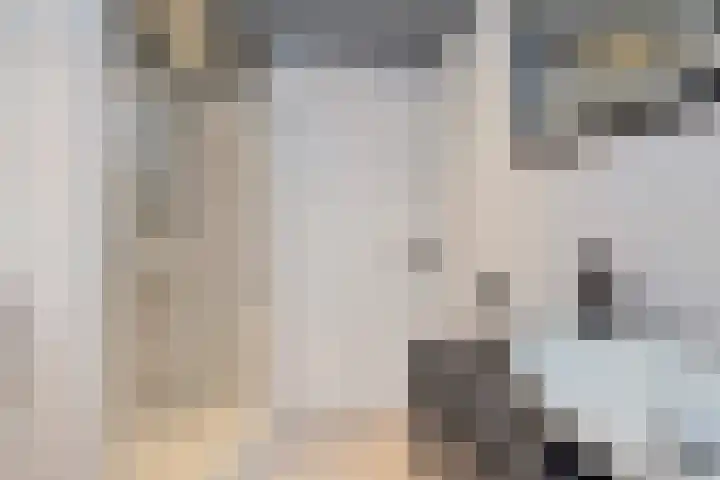 Burgemeester van Nienesstraat 11 Uitgeest thumbnail 22